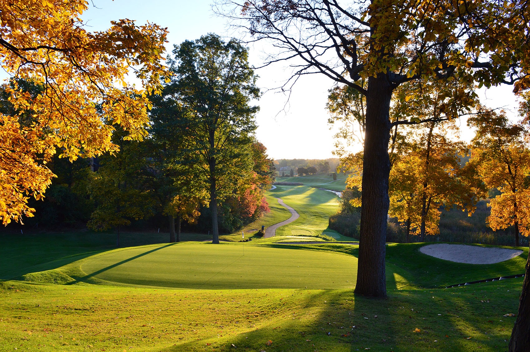 Wabeek Club championship golf course — golden autumn fairways, sand bunker, Bloomfield Hills Michigan. Designed by Jack Nicklaus and Pete Dye.
